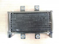  Радиатор масляный для квадроцикла ATV Linhai 600