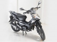 Фото и подробное описание скутера Honda Wing go