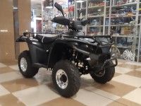 Фото и подробное описание квадроцикла Linhai 200D