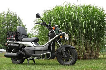 Honda ps250 big Ruckus